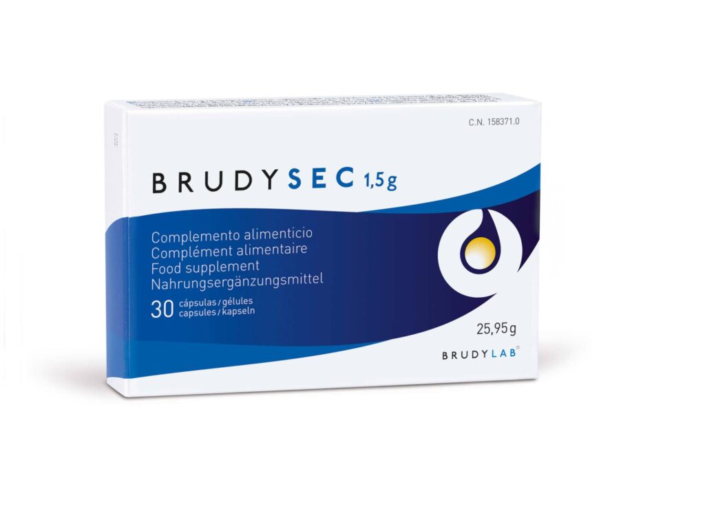 Brudysec